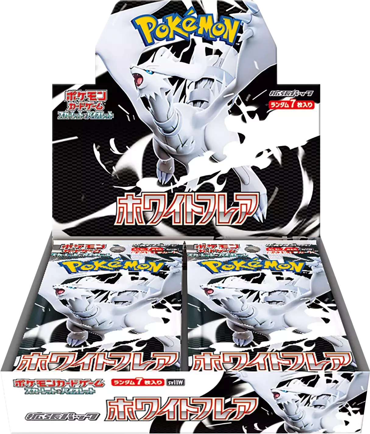 [1BOX]ホワイトフレア