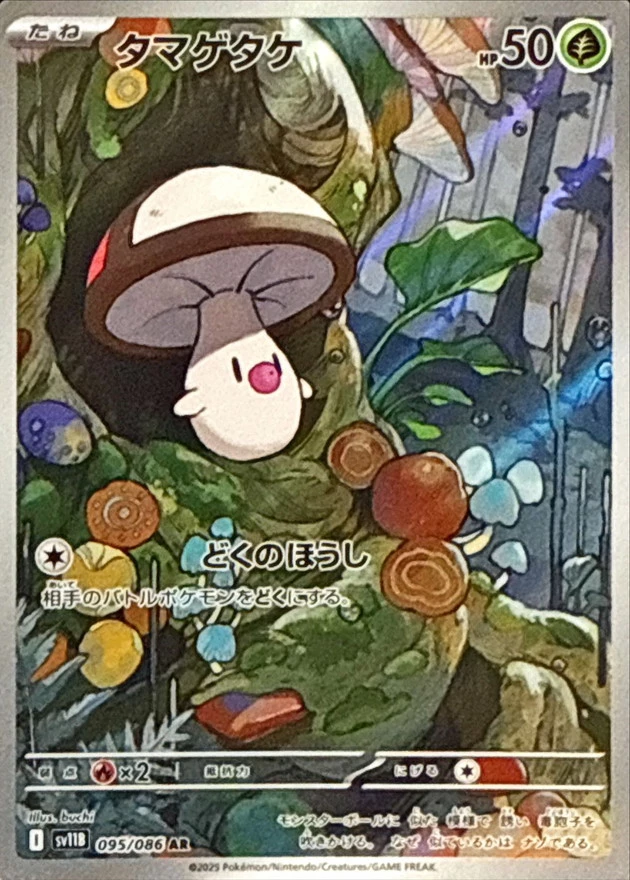 タマゲタケ