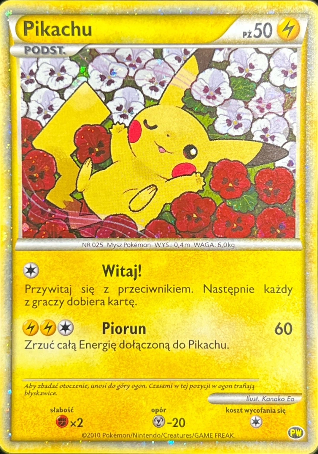 DP)ピカチュウ(ポーランド) (-)[-] - ポケモンカード(ポケカ) | ネット