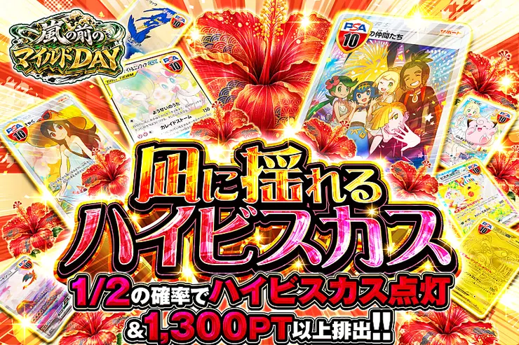 嵐の前のマイルドDAY 凪に揺れるハイビスカス