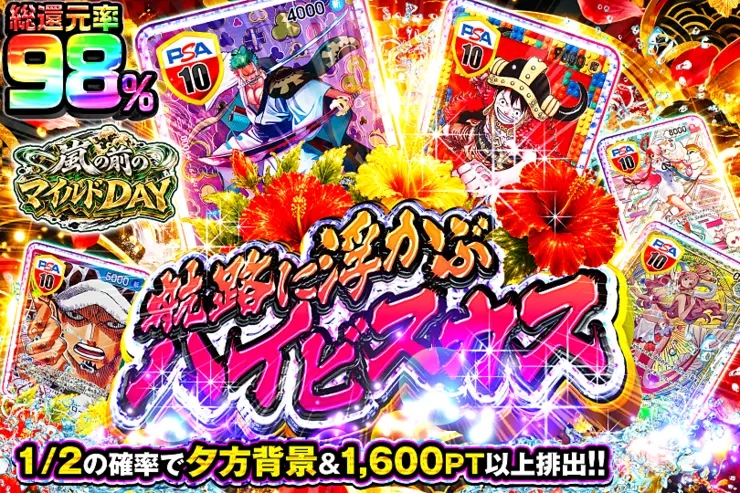 嵐の前のマイルドDAY 航路に浮かぶハイビスカス