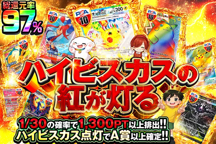 ハイビスカスの紅が灯る