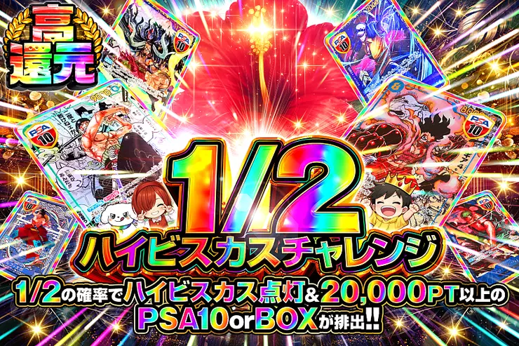 1/2 ハイビスカスチャレンジ